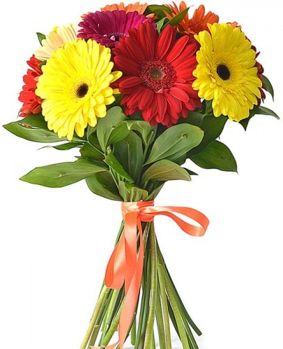 Герберы микс №2 Герберы микс №2